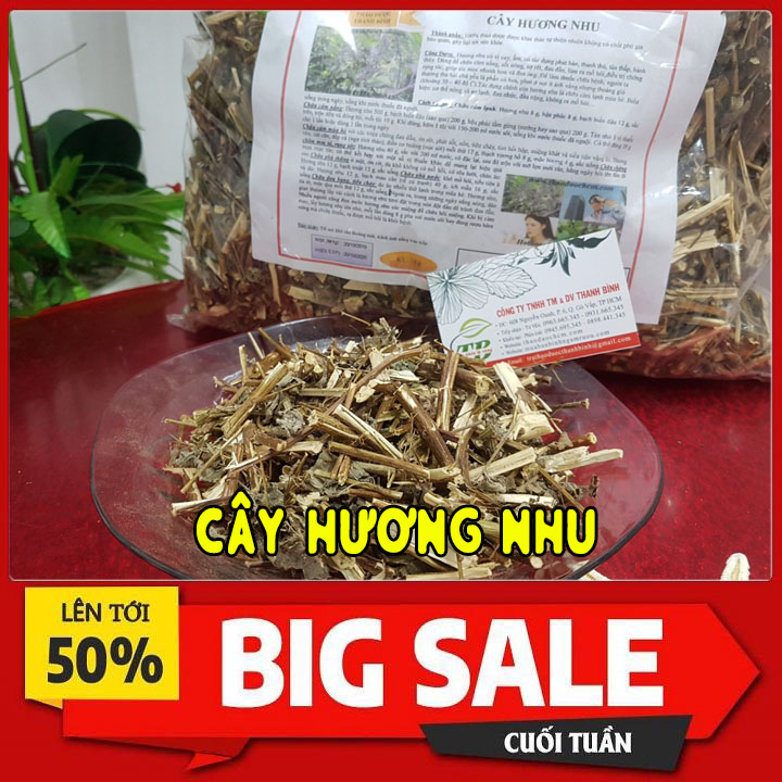 Cây Hương Nhu Khô 500G Loại 1 Hàng Cty- Đông Y Thanh Bình