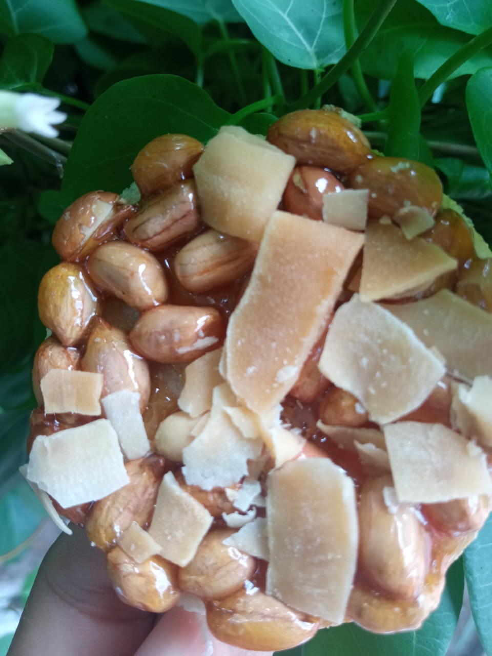 100g kẹo đậu phộng dừa sấy siêu ngon