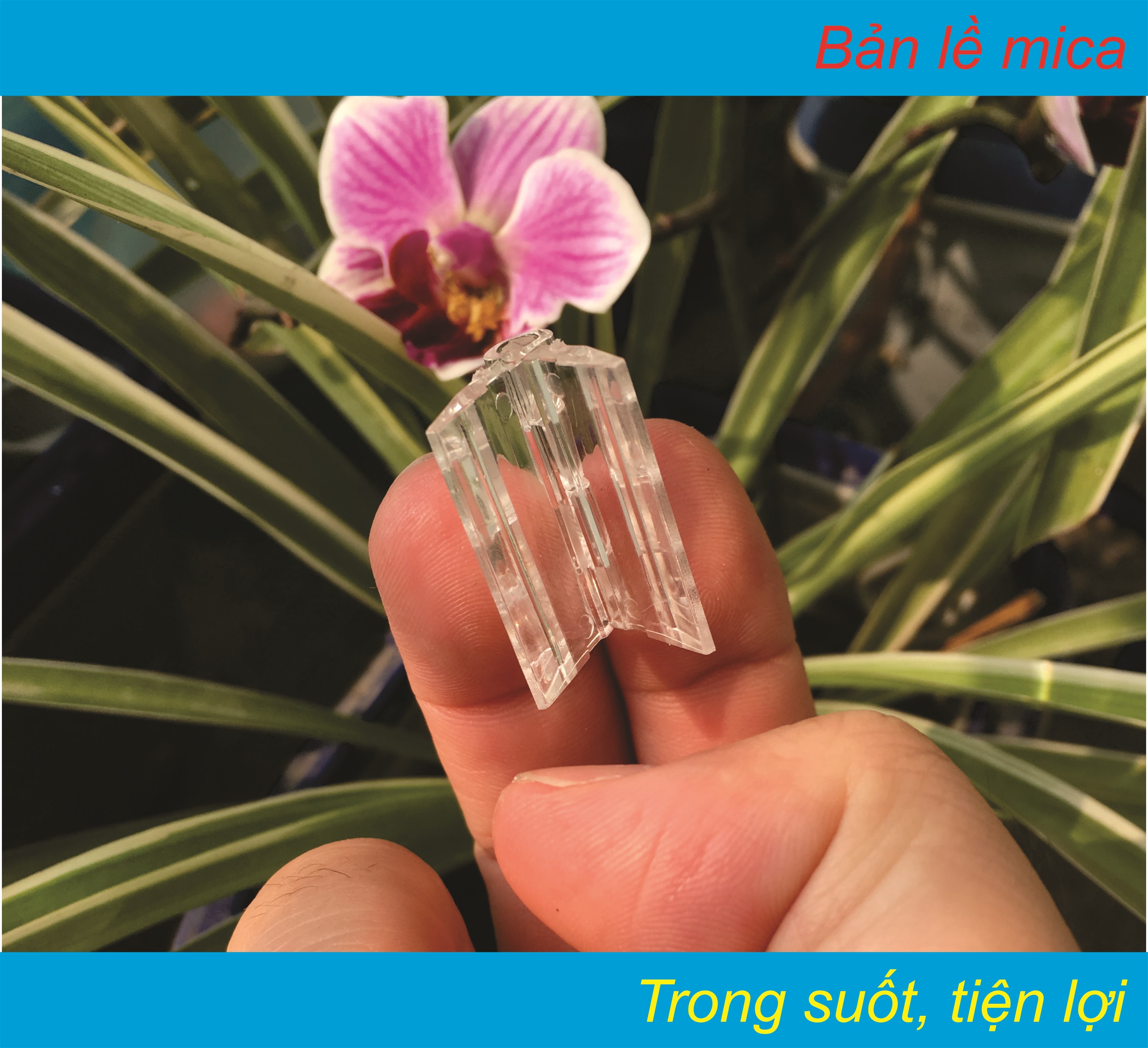 Bản lề mica, sản phẩm đúc, KT 25x33mm, 6 chiếc