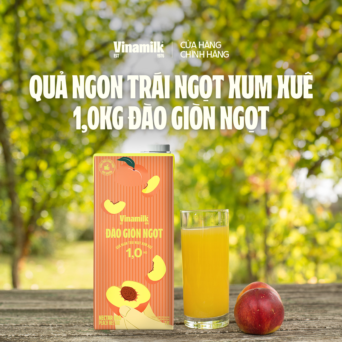 1 Hộp Nước Necta Đào Vinamilk - Hộp giấy 1L
