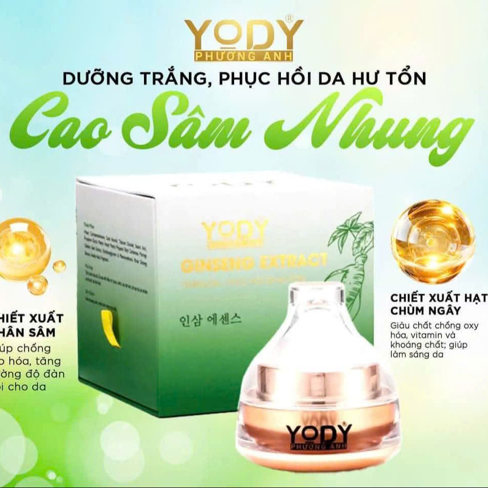 [Chính Hãng].Kem Cao Sâm Nhung Yody Phương Anh