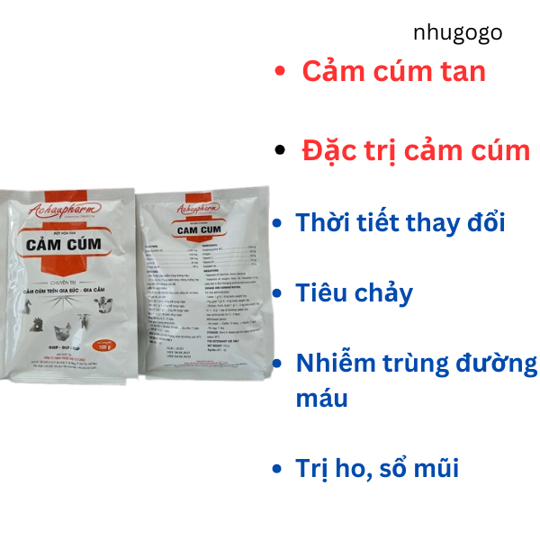 Cảm cúm tan á châu 100 gram gà bị cảm