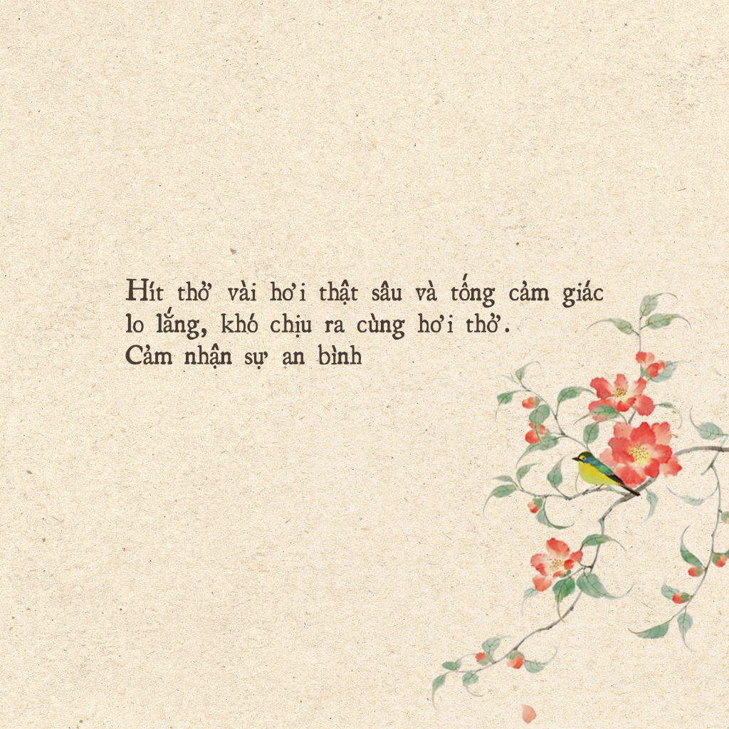 Sách - Thiền chữa lành thân và tâm