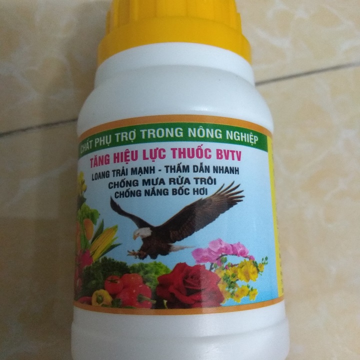 Chất Lưu Dẫn Đại Bàng