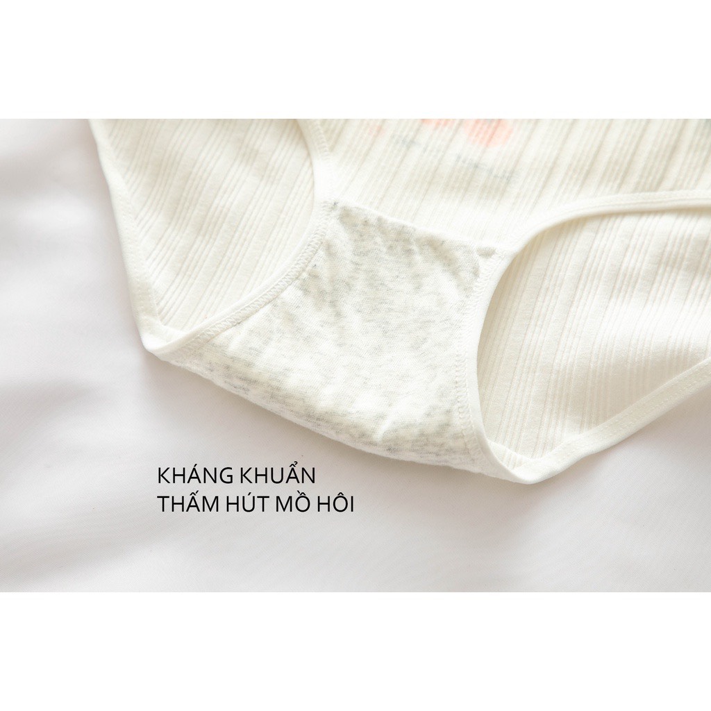 combo 5 quần cherry xanh chất cotton mát từ 40-58kg