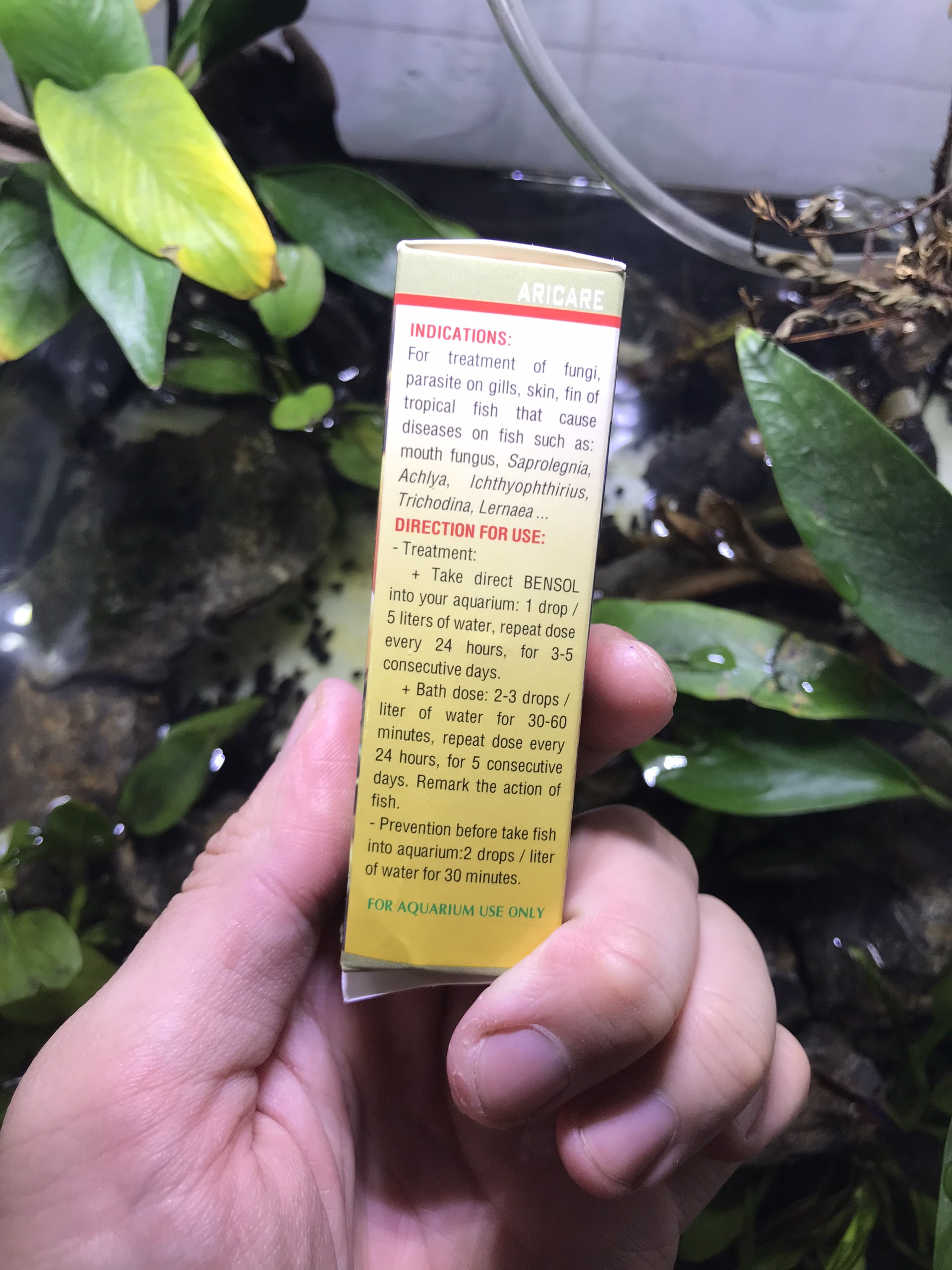 Thuốc trị bệnh, phòng bệnh cho cá cảnh