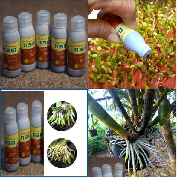 Phân bón lá kích ra rễ cực mạnh n3m - 1 chai 20ml