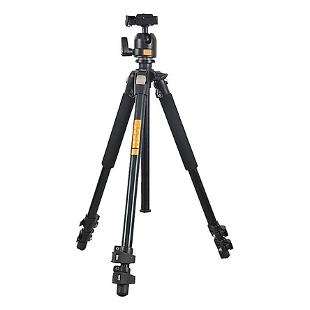 Chân máy ảnh Tripod Beike Q-301 + da cừu lau len (Da thật)
