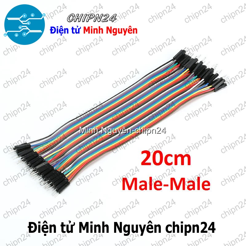 [20 sợi] (P68) Dây Cắm Test Board 20cm Đực-Đực - HH001146