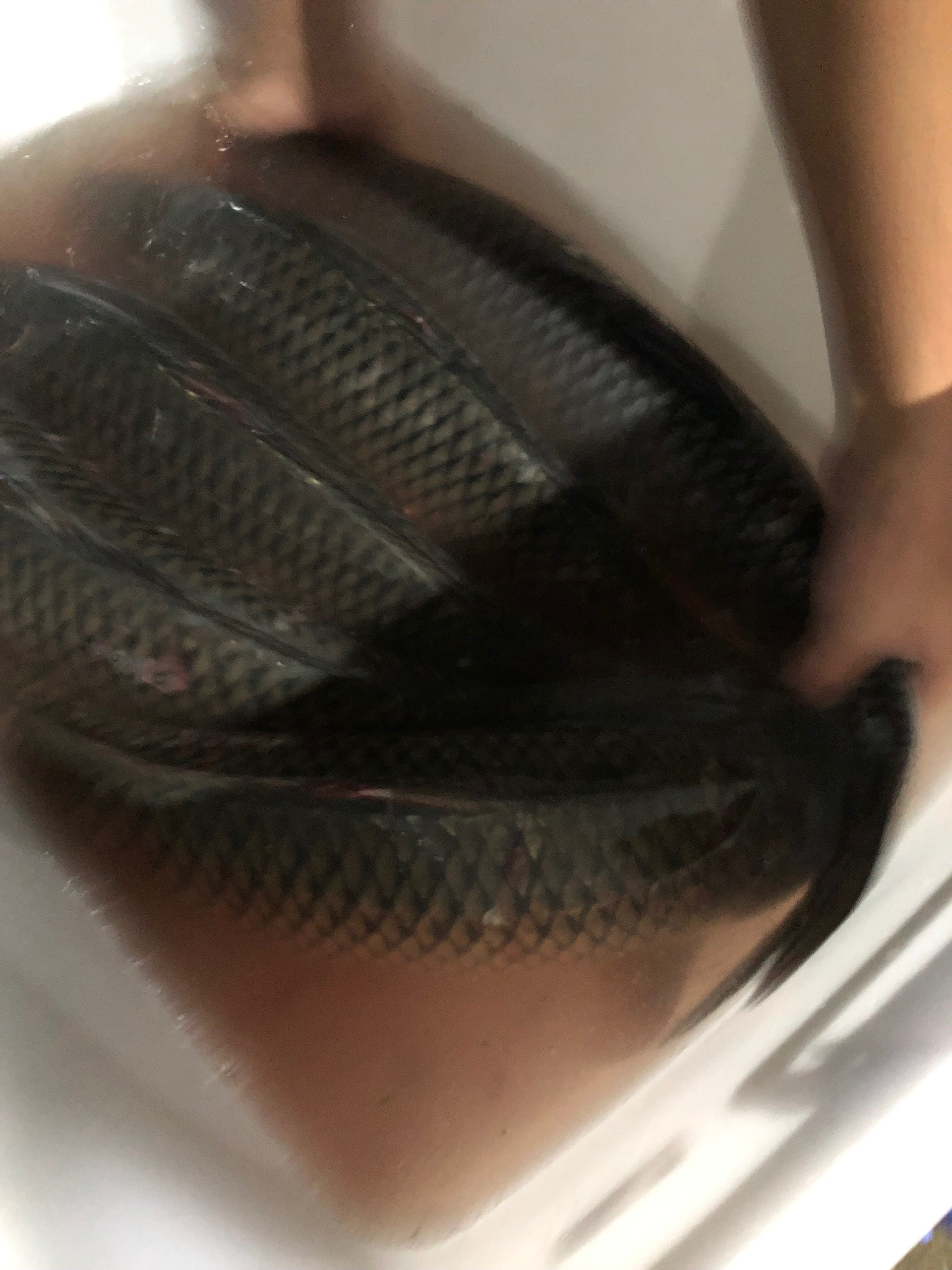 Thính Trắm Đen Hồ Dịch Vụ