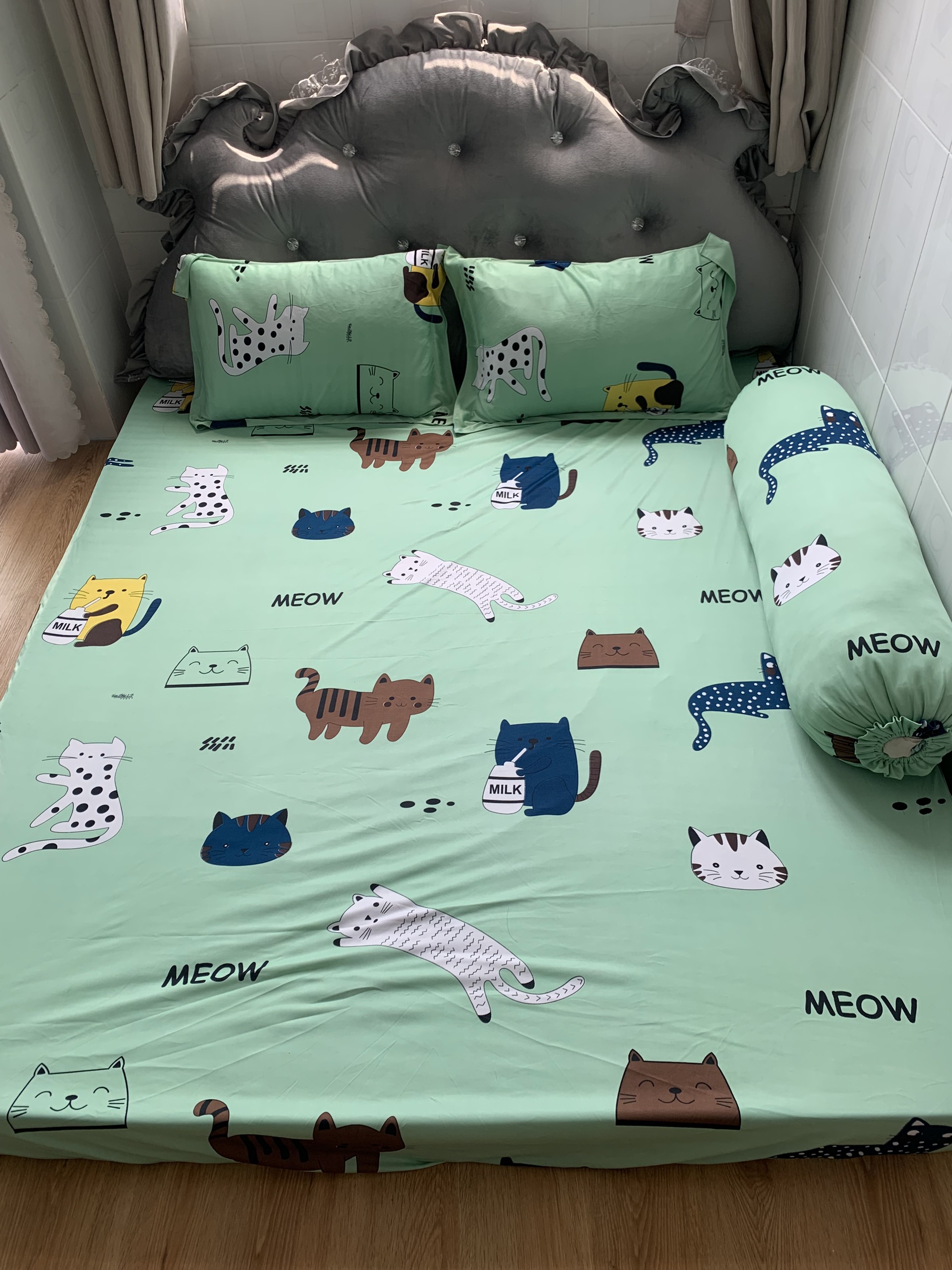 Bộ drap ga thun Hàn quốc mẫu chú mèo