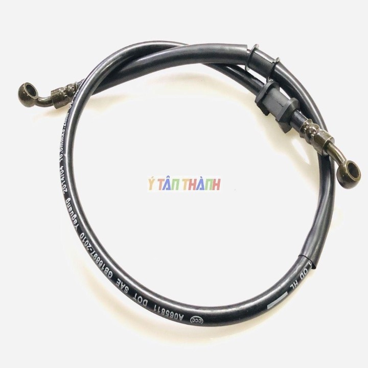 Dây Dầu Thắng Trước