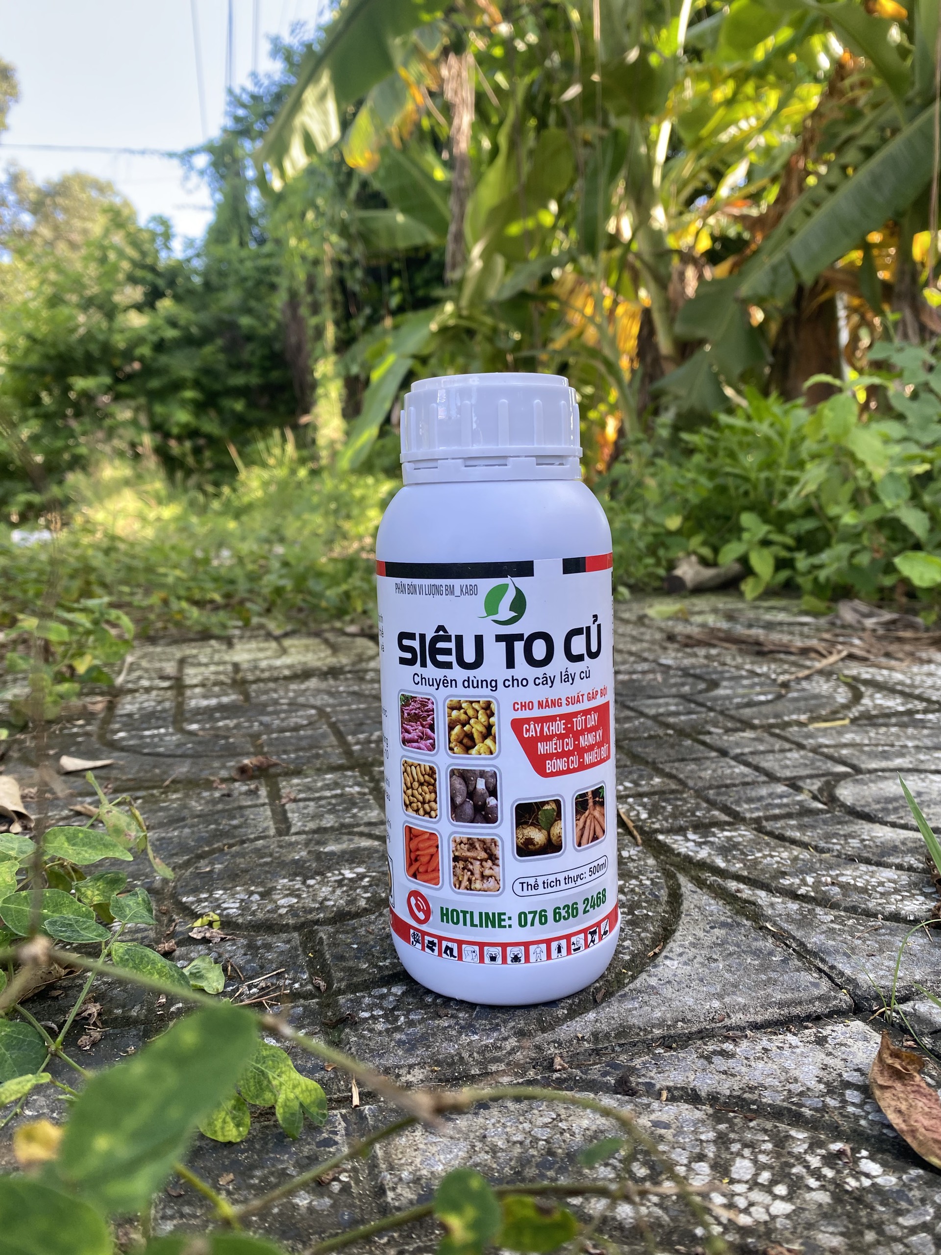 PHÂN BÓN SIÊU TO CỦ (chai 500ml) - CỦ TO, CHẮC THỊT, NẶNG KÝ