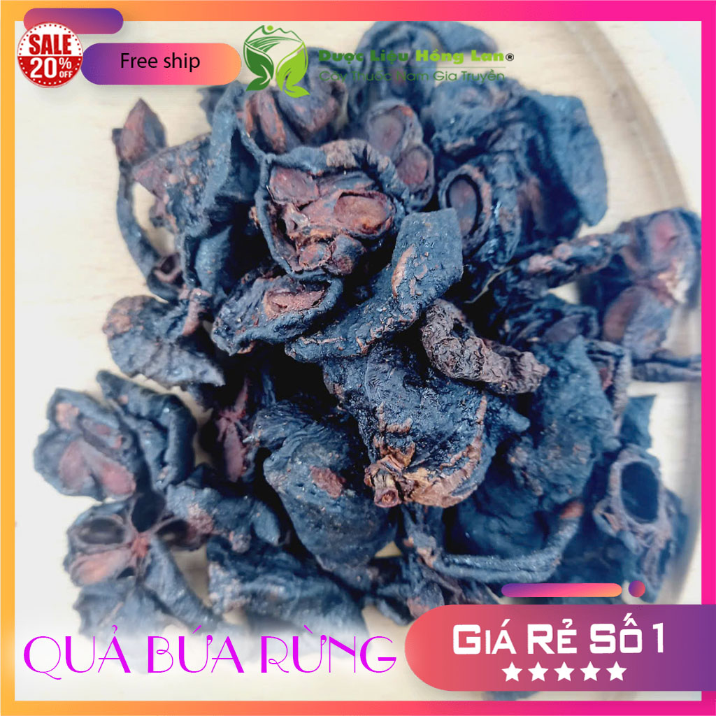 ✅ 500g Quả Bứa Rừng khô (Quả măng cụt rừng)