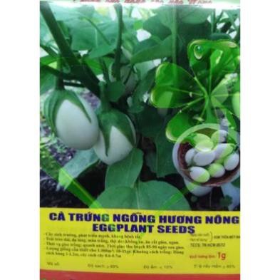 Hạt giống cà trứng ngỗng - Gói 1g
