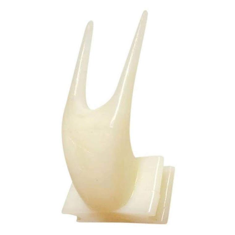 Xiên trái cây nhỏ cho chim vẹt