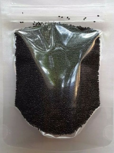 hạt é sạch uống giảm cân khối lượng 1kg