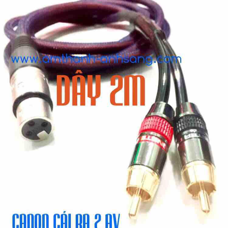 Canon female to 2 pin lotus plug digital amplifier subwoofer wire