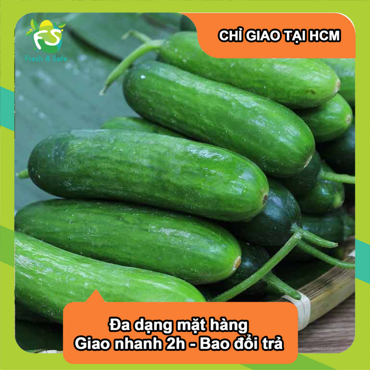 [Chỉ Giao HCM] Dưa Leo - 500g
