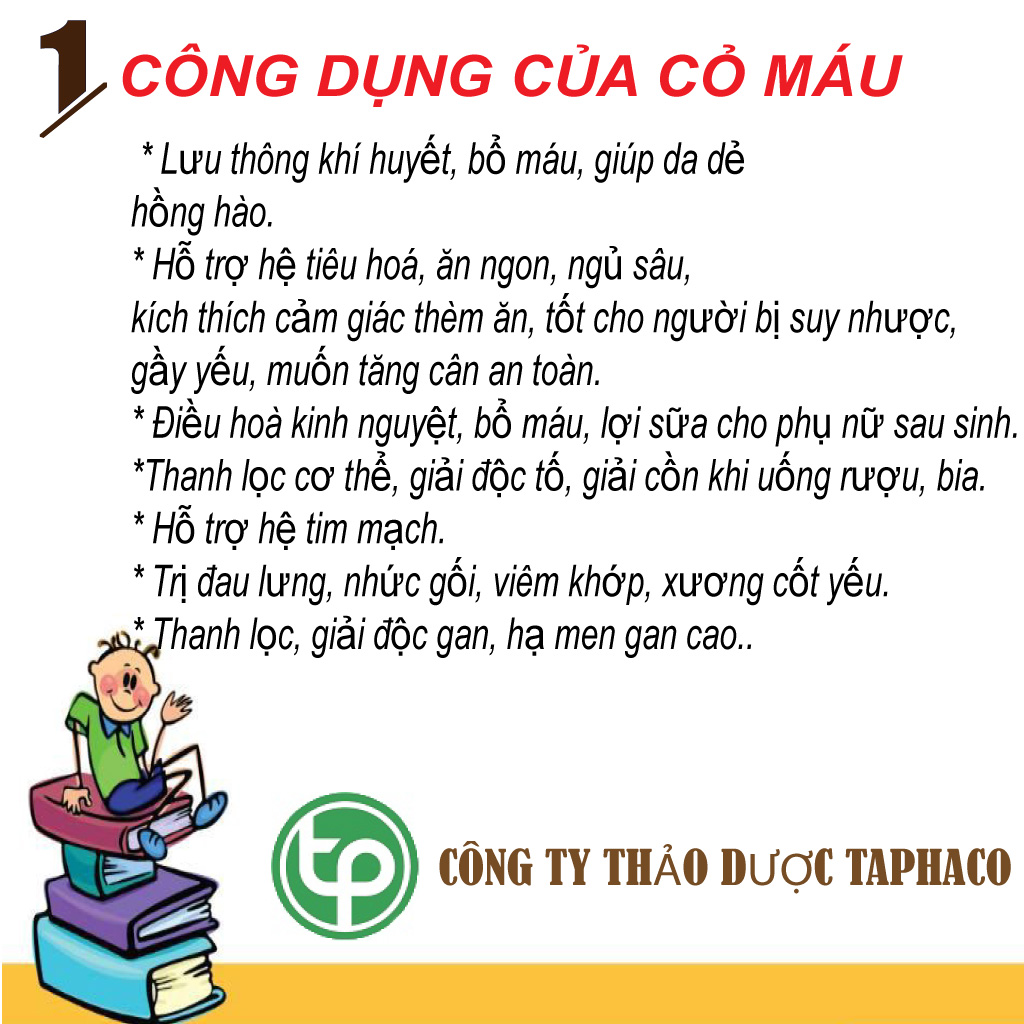 Cỏ máu khô 500g - Thảo Dược Tấn Phát
