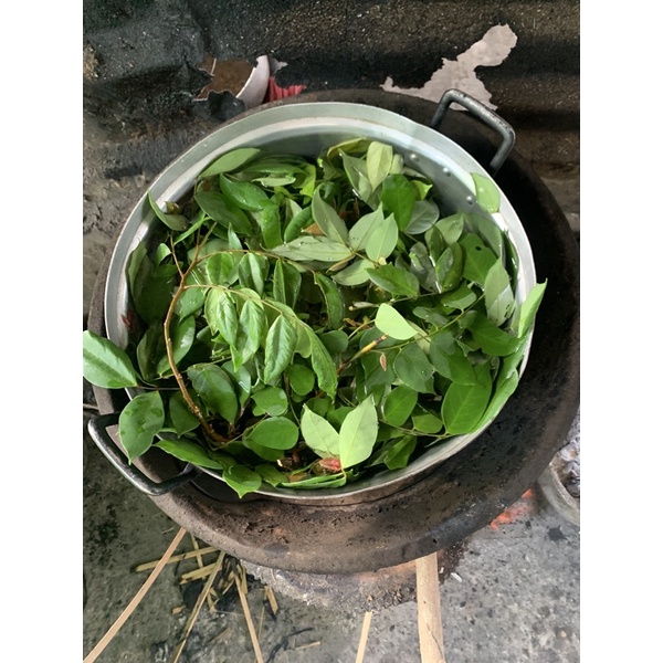 lá khế tươi 1kg- khách đặt mới hái