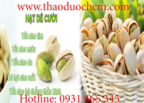 Hạt Dẻ Cười 100GRAM Hàng Cao Cấp - Đông Y Thanh Bình