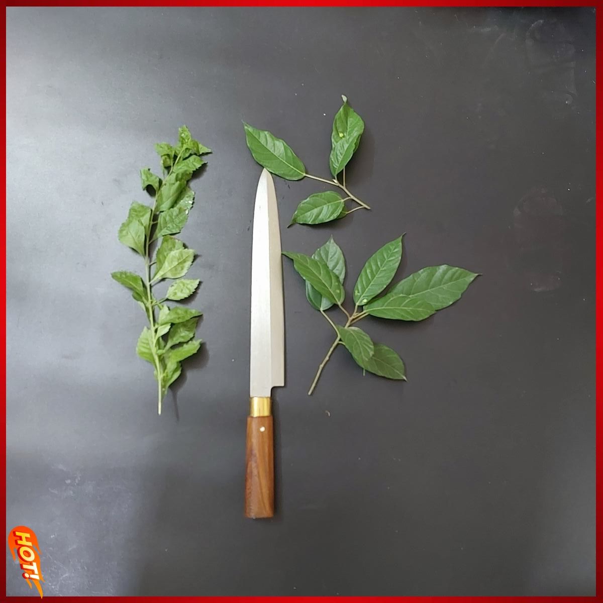 Dao Thái Thịt Nướng Thái Sasimi Không Rỉ - Dao Bếp