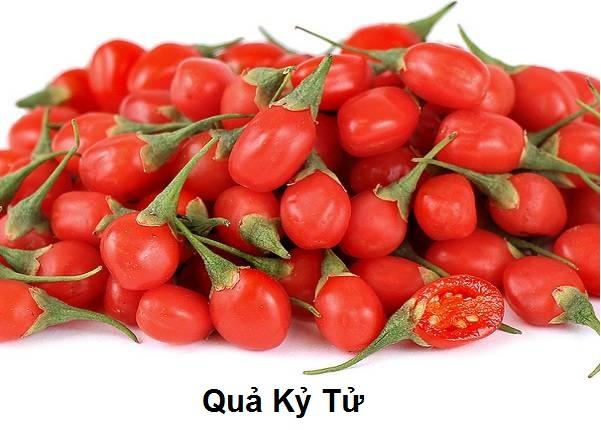 [HCM]KỶ TỬ/CÂU KHỞI (500gr/túi)