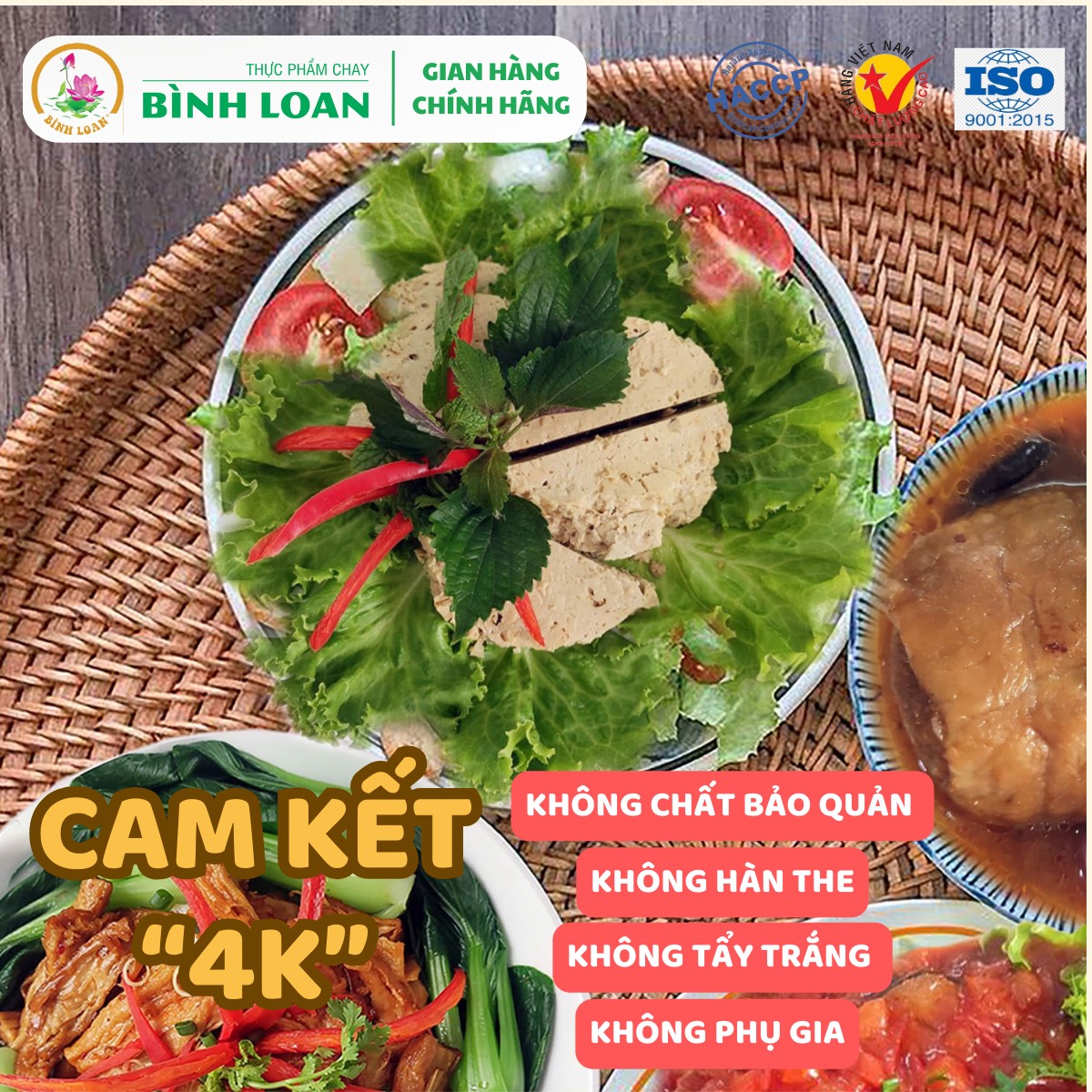 Thực Phẩm Chay Bình Loan - combo 12 hộp Chả Chay