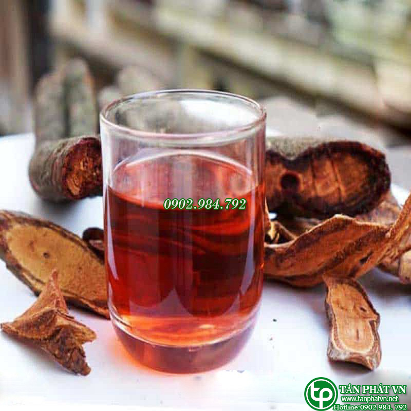Cỏ máu khô 500g - Thảo Dược Tấn Phát