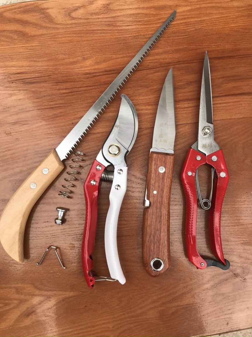 Combo 4 món chăm sóc cây cảnh, bonsai
