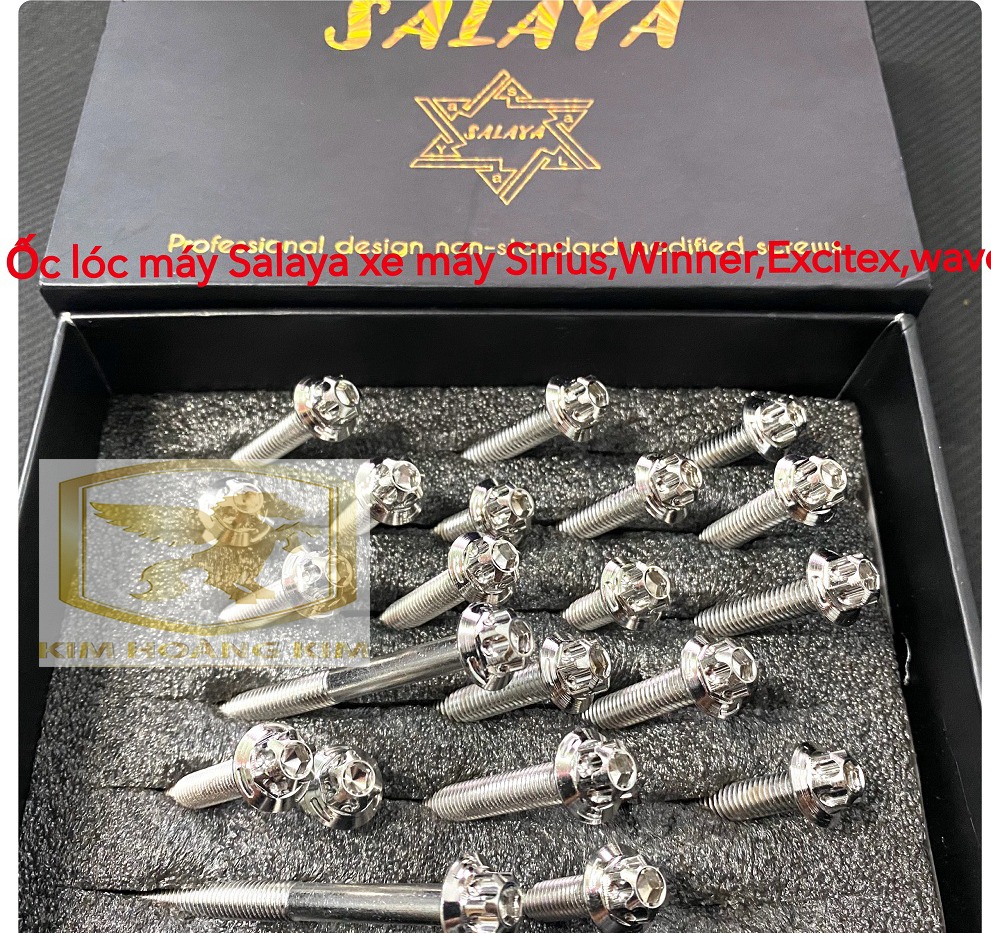 Bộ ốc lốc máy Salaya Inox 304 gắn lốc xe máy Wave,Dream hàng chất lượng siêu rẻ