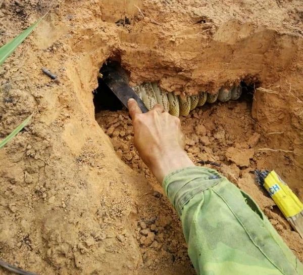 Mật Ong Đá Núi Rừng 0.5 Lít