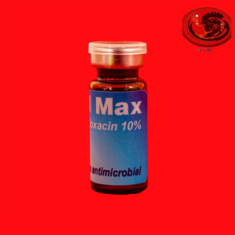 BAYTRILL MAX 10% khò khè, tiêu chảy gà đá 10ml