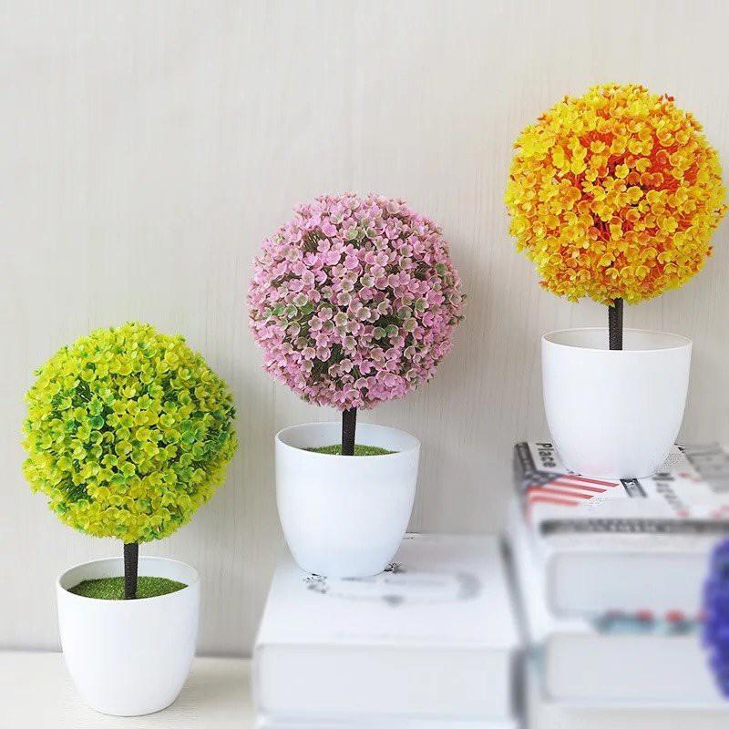 Chậu Hoa Cẩm Tú Cầu (Chậu Lẻ)