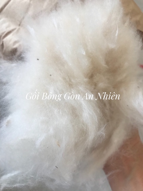 Ruột gối bông gòn tự nhiên PIL4565