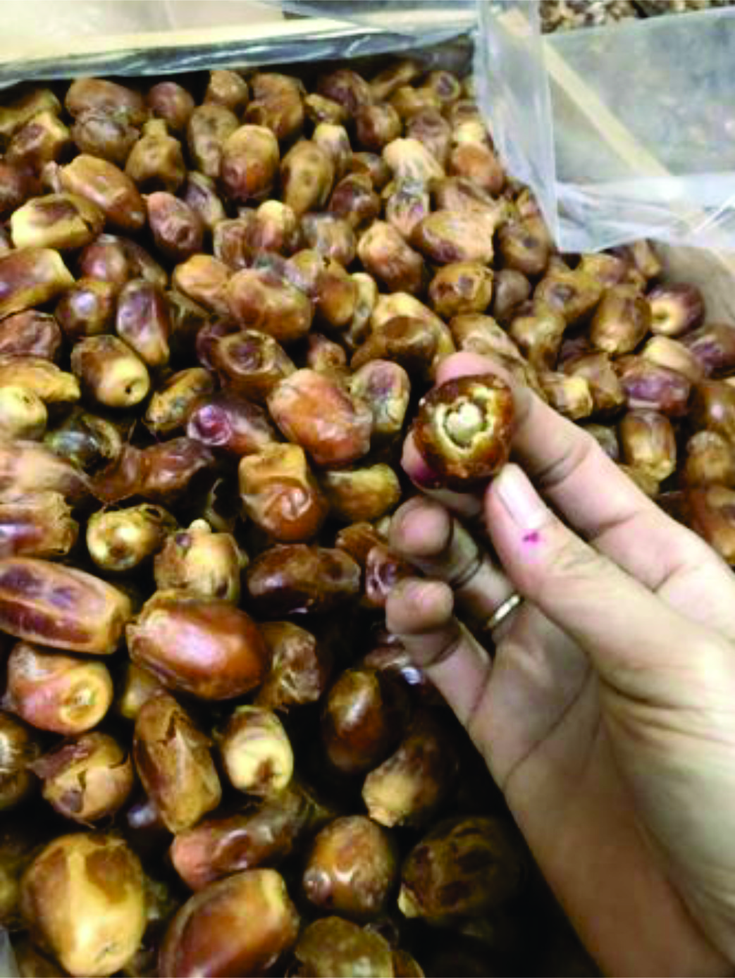 500g Quả chà là rời Ai cập