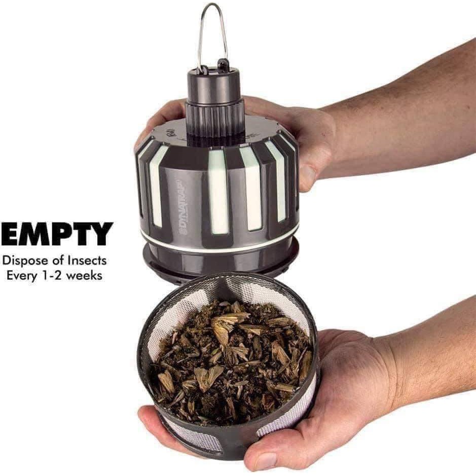 Đèn bắt muỗi, côn trùng Dynatrap