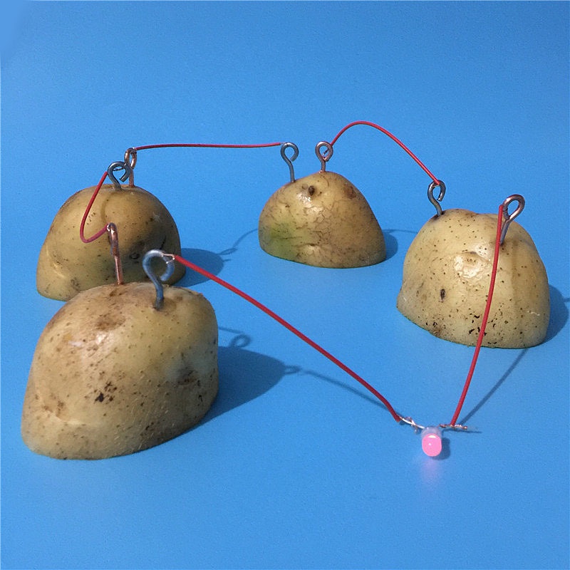 The experimental science magnetic generator battery creative fruit for scientific research stem