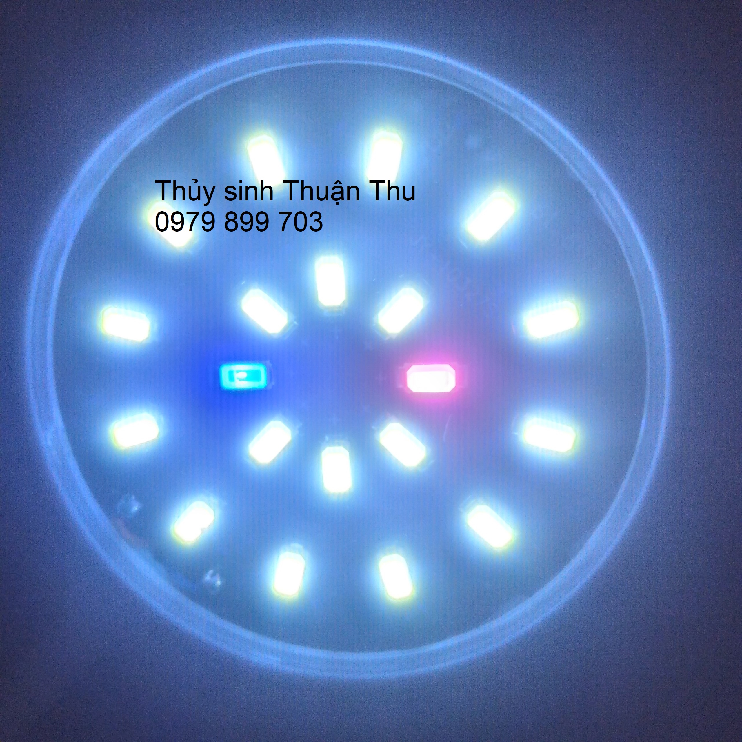 Đèn led kẹp hồ cá cảnh mini KaoKui KK JY 25 (7W)