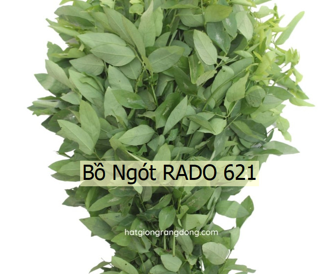 Hạt giống Rạng Đông, Hạt giống trồng rau sạch