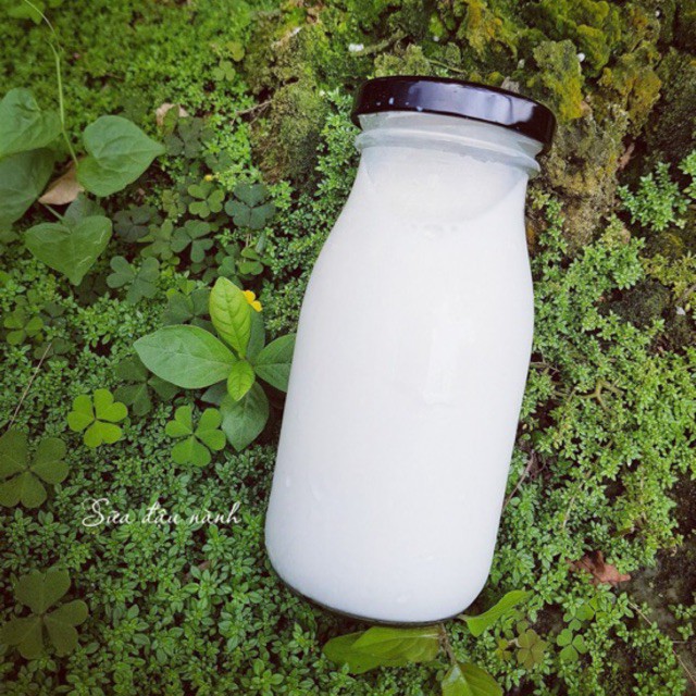 Chai đựng sữa hạt thủy tinh 200ml (1 chai)