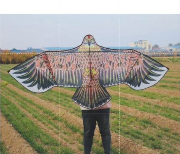 Diều chim ưng khổng lồ 170cm, 2m, 2.4m, 3.6m làm bằng vải khung thanh carbon chắc chắn tặng kèm 100m dây dù
