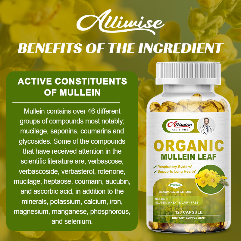 Alliwise Lung Detox Mullein Leaf Capsules bổ sung hô hấp thảo dược để làm sạch phổi, hỗ trợ phổi, cải thiện hô hấp và chức năng miễn dịch