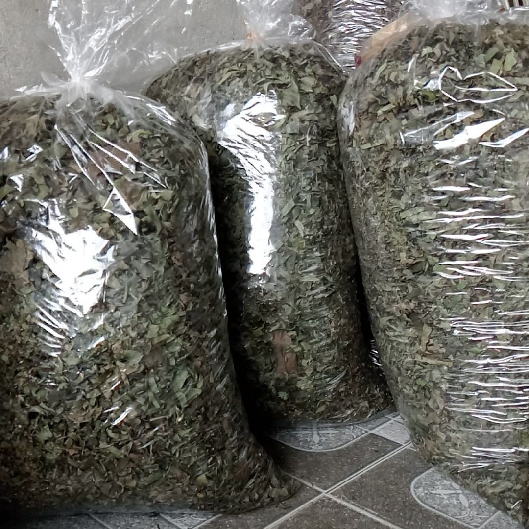 1kg Lá Đắng Khô. Đặc Sản Thanh Nghệ Tĩnh