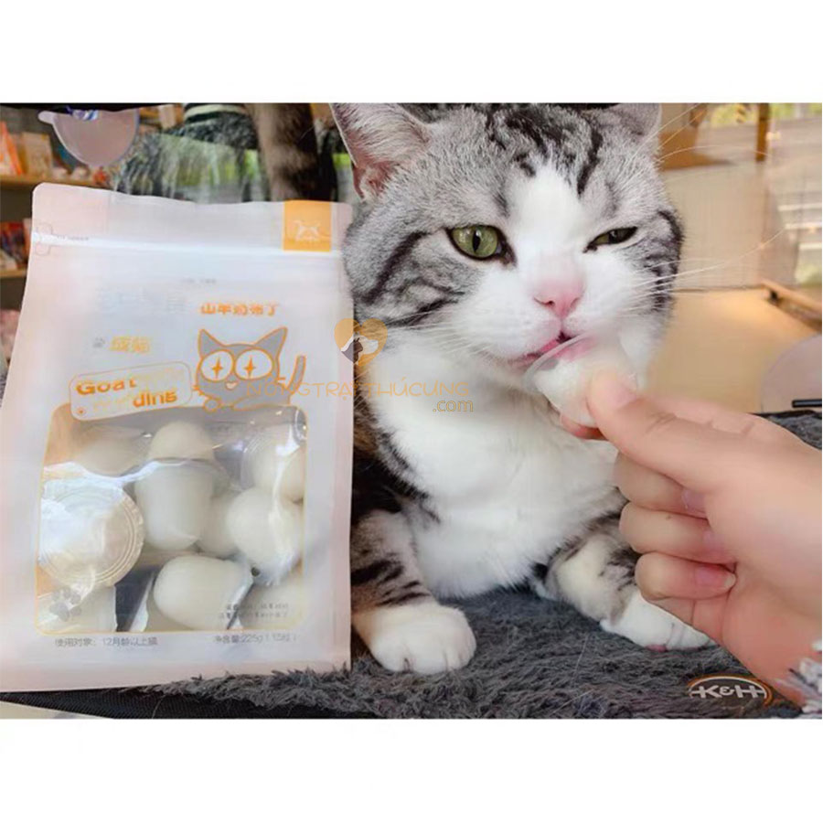 Pudding sữa dê bổ sung canxi cho mèo -