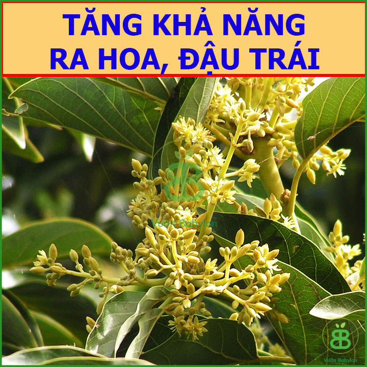 Phân Bón Hỗn Hợp Đầu Trâu NPK 20-20-15