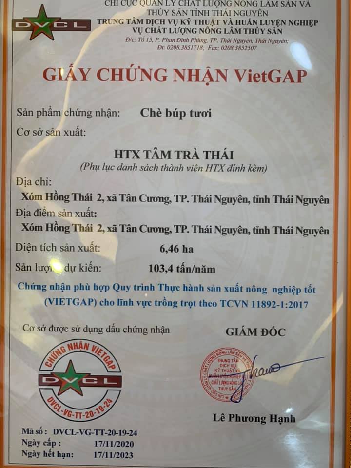 Trà nõn thượng hạng - 1 tôm 1 lá non