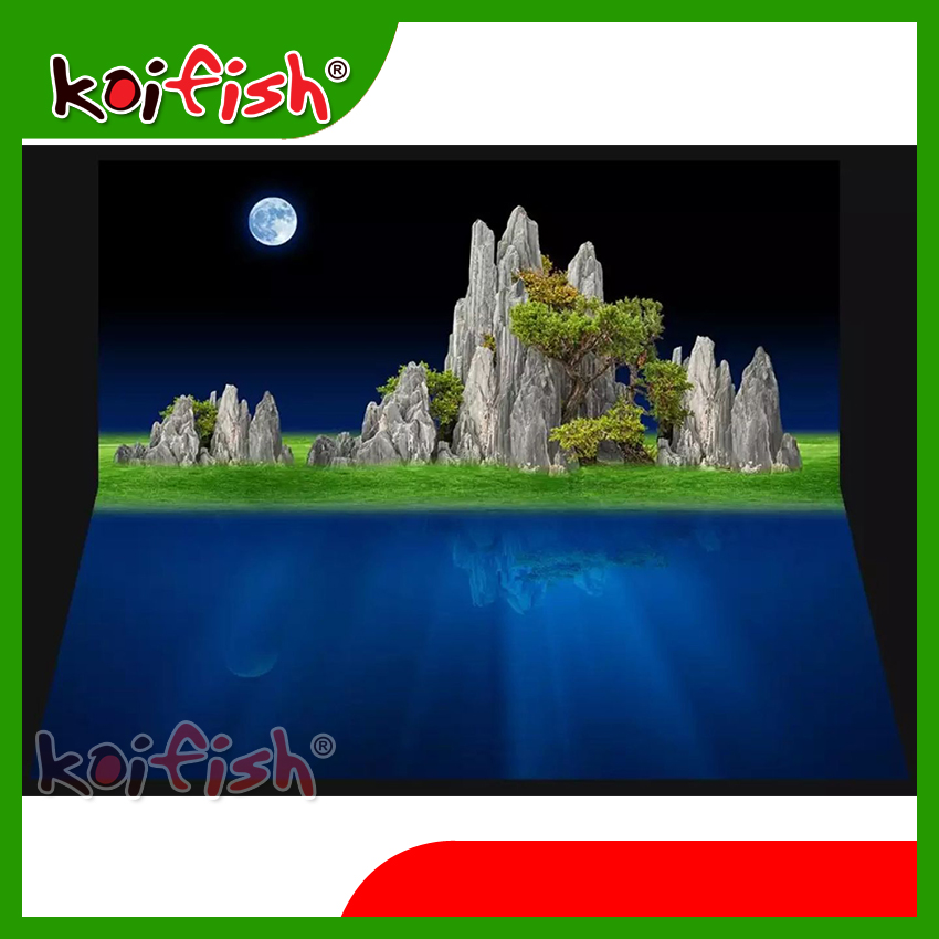 Tranh 3d Koifish, tranh bộ lưng-đáy, siêu độc đáo, aqb20-072, lưng 50x34cm, đáy 50x33cm, có thể làm theo kích thước yêu cầu