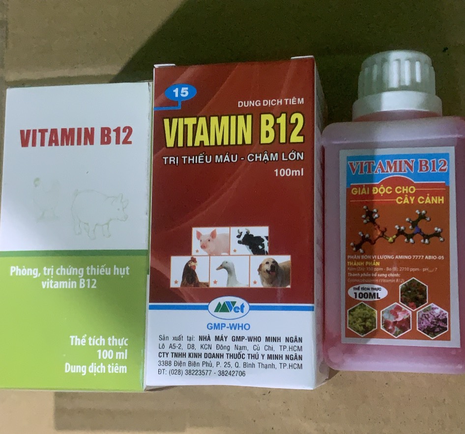 Vitamin B12 cho cây trồng lọ 100ml